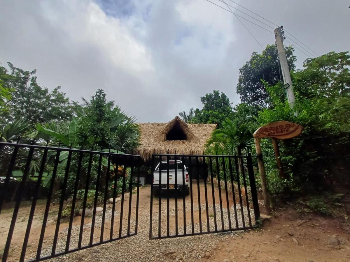 Hierba Buena Eco Hostel 엘 자이노 외부 사진
